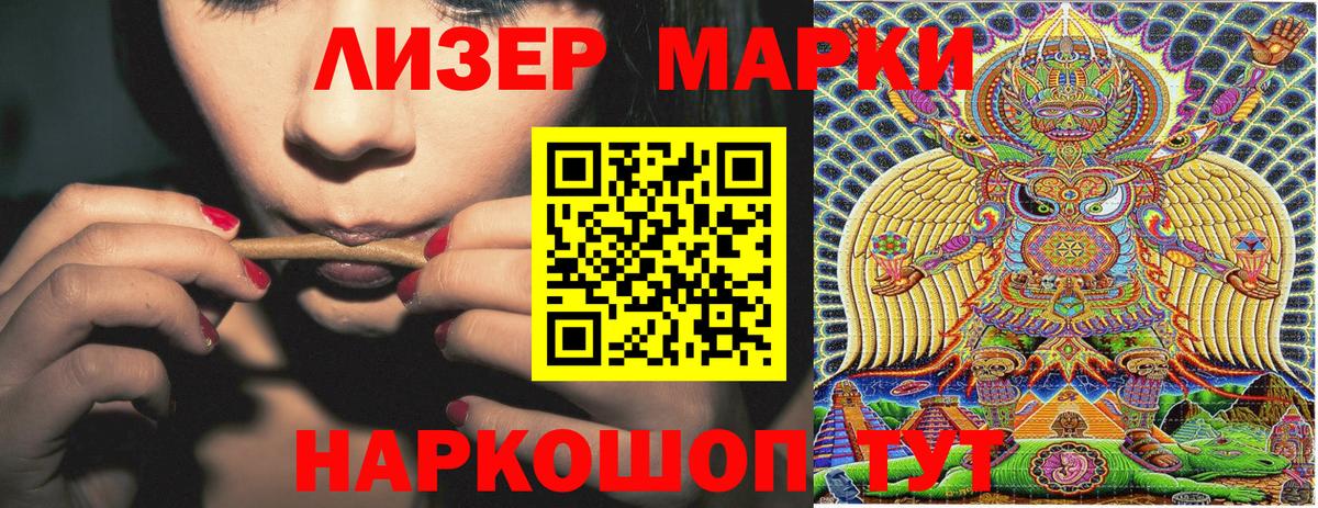 Псилоцибиновые грибы Киров