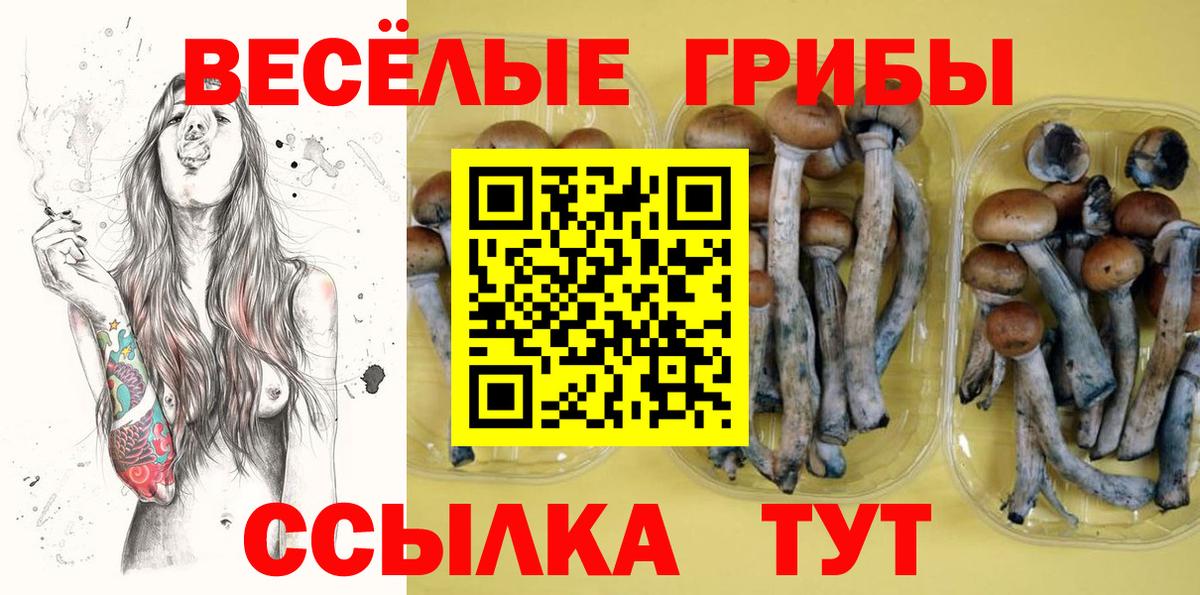 Псилоцибиновые грибы ЛСД  Галлюциногенные грибы Magic Shrooms  Киров  Вход с VPN 